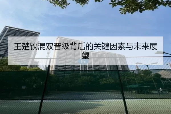 王楚钦混双晋级背后的关键因素与未来展望